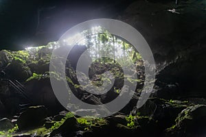 Outdoors view from the clearwater cave at Gunung Mulu national park. Sarawak.