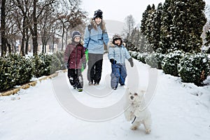 Outdoors winter activities for family, friends. Happy Family, friends, two women, two boy kids and dog, mothers and sons