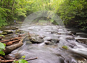 Outdoorsman Fly Fishing in a Peaceful Forest Mountain River