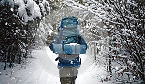 Outdoorsman walking on forest path