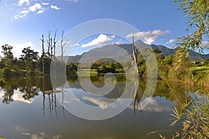 The Outeeniqua Mountains, George Botanical Gardens