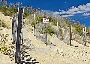 Outer Banks Beach Sand Dunes