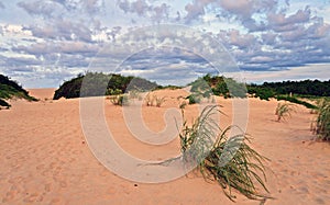 Outer Banks Beach Sand Dunes