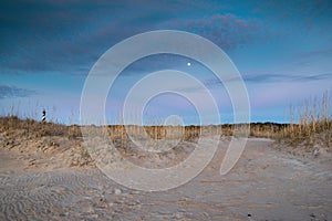 Outer Banks Landscape Sand and Dunes NC