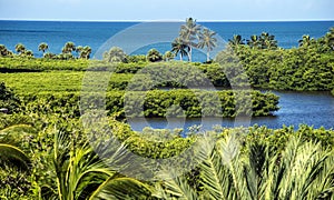 Outer Bay and Gulf of Mexico Naples Florida photo