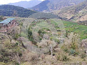 Outer valley of gumma  a town of India