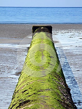 Outfall Pipe