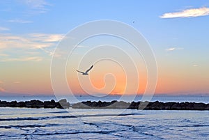 The outfall on sand beach. Beautiful sunrise sky over sea