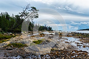 Outflow at coast of the White sea