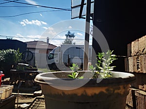 Outgrow from the mold