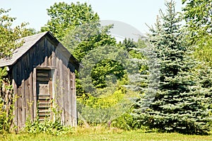 Outhouse on edge of woods