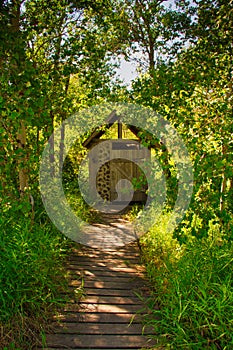 An Outhouse in a Forest