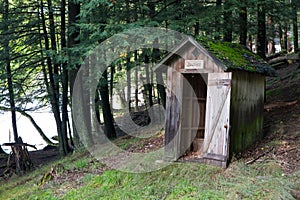 Outhouse in a Forest