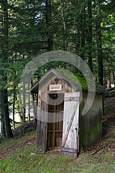 Outhouse in a Forest