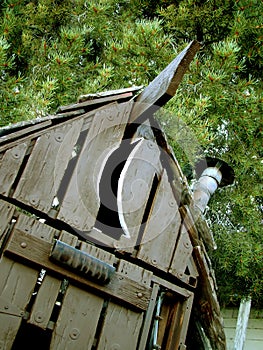 Outhouse Among Pines