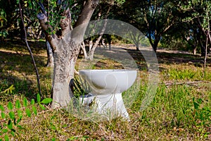 Outhouse toilet concept, bowl is placed in the forest above seas