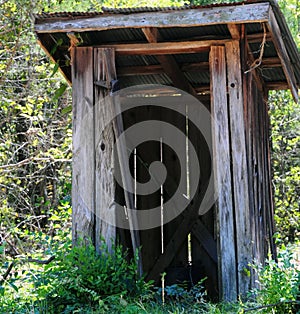 Outhouse in the woods