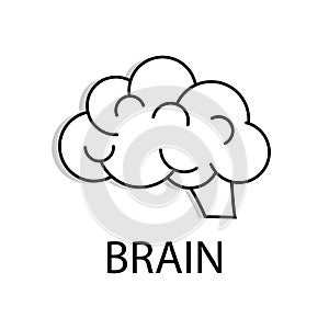 Outline brain vector icon for web design on white background
