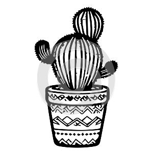 outline cactus coloring page, realistic cactus coloring page, pencil cactus drawing, pencil sketch cactus drawing