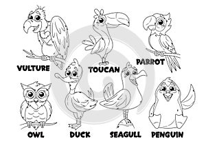 Outline Cartoon Funny Bird Characters Monochrome Icons Set. Vulture, Toucan, Parrot and Owl, Duck, Seagull or Penguin