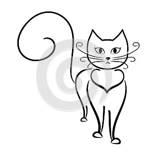 Outline cat on the white blackground, cartoon cat.