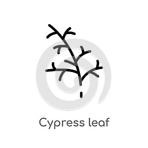 outline cypress leaf vector icon. isolated black simple line element illustration from nature concept. editable vector stroke
