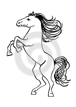 Outline drawing of a horse, isolated on white.