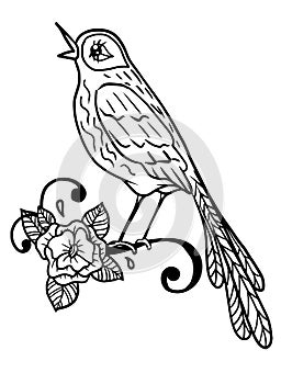 Outline drawing of a stylized cute Nightingale