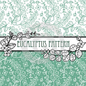 Outline elegant eucalyptus seamless pattern