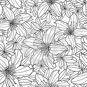 Outline floral vector seamless pattern. Black and white Rhododendron and Lily flower. Hand drawn flowers and leaves