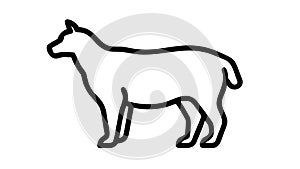 Outline goat or sheep icon, farm animal illustration graphic , vector design Generative AI photo