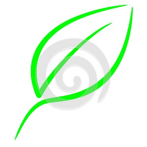 Outline of a green leaf