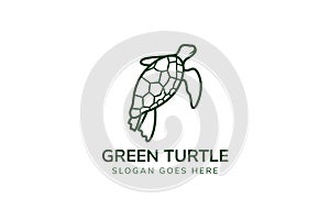 outline green turtle logo design template