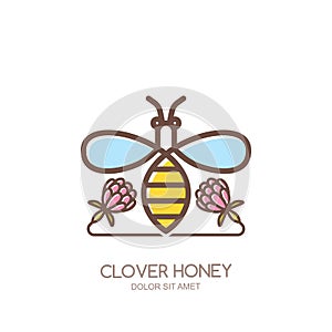 Outline honeybee logo, emblem or icon. Linear bee and clover flowers isolated