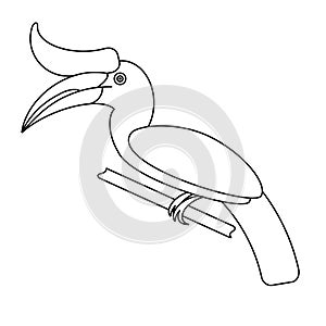 Outline Hornbill bird.
