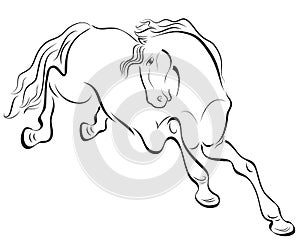 Outline horse drawing