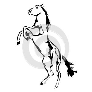 Outline horse vector image.