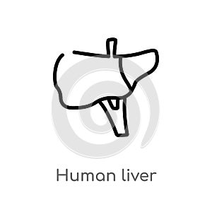 outline human liver vector icon. isolated black simple line element illustration from human body parts concept. editable vector