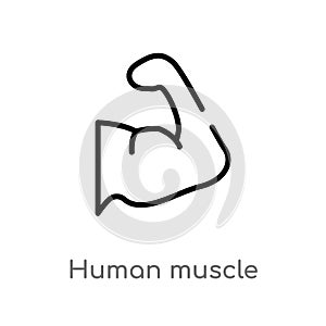 outline human muscle vector icon. isolated black simple line element illustration from human body parts concept. editable vector