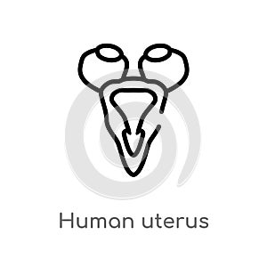 outline human uterus vector icon. isolated black simple line element illustration from human body parts concept. editable vector