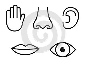Contorno impostato composto da icone da cinque Uomo i sensi visione occhio odore udito orecchio tocco mano gusto bocca lingua 
