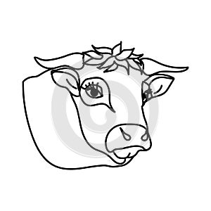 Outline illustration of a bull`s head, farm animal with horns, cow vector illustration
