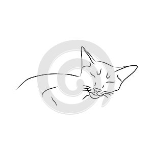 Outline illustration of domestic cat. Sleeping cat silhouette isolated on white background. Animal care, welfare concept