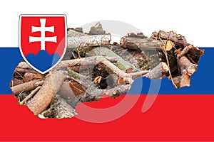 Obrysová mapa Slovenska s vyobrazením štátnej vlajky. Palivové drevo na mape. Koláž ilustrácie. Energetická kríza