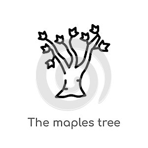 outline the maples tree vector icon. isolated black simple line element illustration from nature concept. editable vector stroke