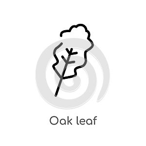 outline oak leaf vector icon. isolated black simple line element illustration from nature concept. editable vector stroke oak leaf