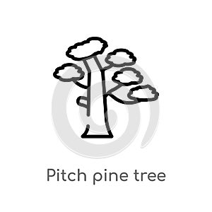 outline pitch pine tree vector icon. isolated black simple line element illustration from nature concept. editable vector stroke
