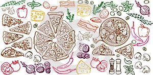 Outline pizza slices, whole pizza. Vector simple Doodle style Italy food, pizzeria, menu