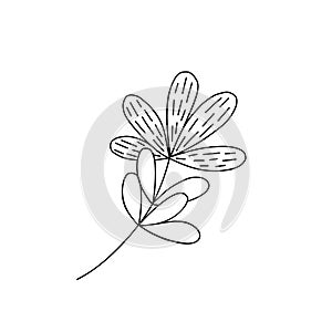 Outline plant decorative branch with leaves for home decor, Thanksgiving, autumn festive holiday vector illustration