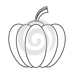 Outline pumpkin harvest bittersweet vegetable icon